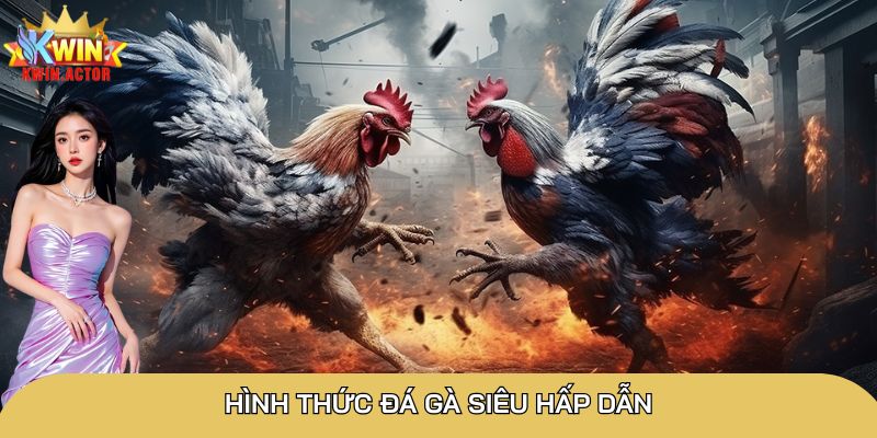 Hình thức đá gà siêu hấp dẫn